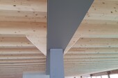 Combination of steel structure and wood construction
