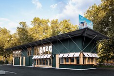 New, green object breaks through the asphalt desert